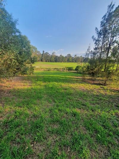 Bassingham Poincaire Reserve Balcatta