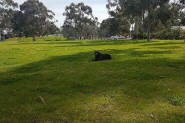 Baymor Reserve Modbury Heights