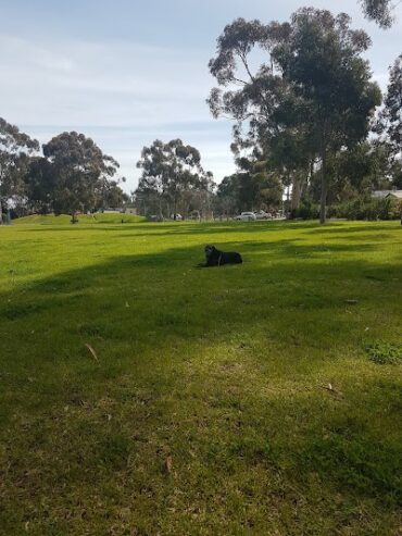 Baymor Reserve Modbury Heights