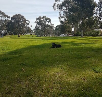 Baymor Reserve Modbury Heights