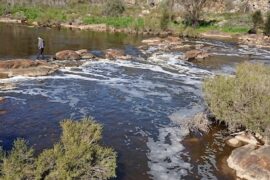 Bells Rapids Park Ellenbrook