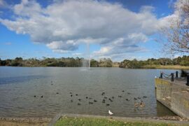 Berwick Springs Wetland Reserve Narre Warren South