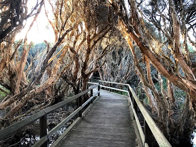 Big Swamp Parkland Paperbark Walk South Bunbury