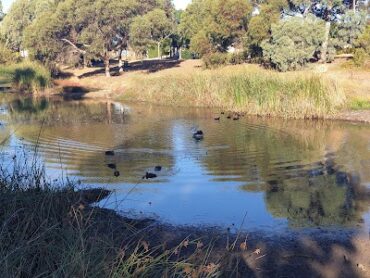 Billingham Reserve Caroline Springs