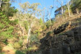 Black Hill conservation Park Athelstone