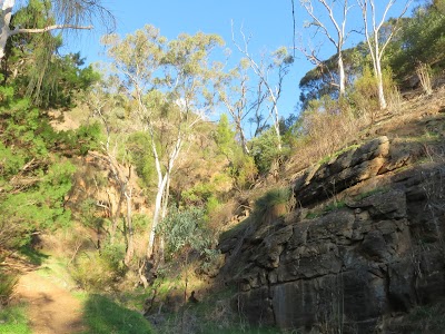 Black Hill conservation Park Athelstone