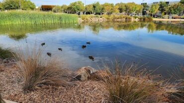 Blakes Lake Reserve Blakeview