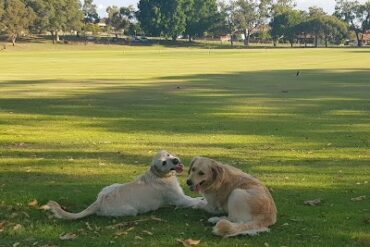 Blue Lake Park Joondalup