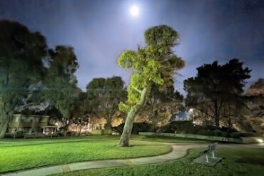 Bortolo Park Greenfields