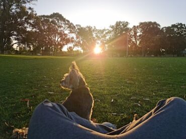 Bortolo Park Greenfields