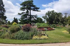 Botanical Gardens Eaglehawk