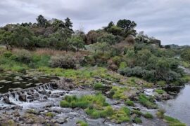 Buckley Falls Lookout Highton