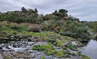 Buckley Falls Lookout Highton