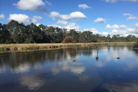 Bushy Park Wetlands Glen Waverley