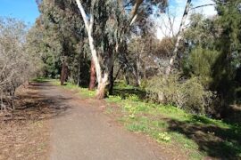 Carlyle Reserve Mawson Lakes