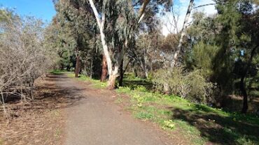 Carlyle Reserve Mawson Lakes