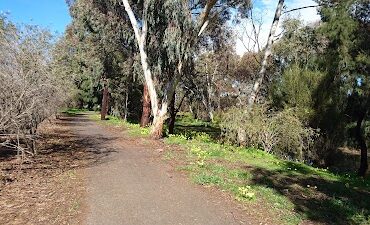 Carlyle Reserve Mawson Lakes