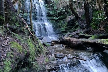 Cascades Track South Hobart