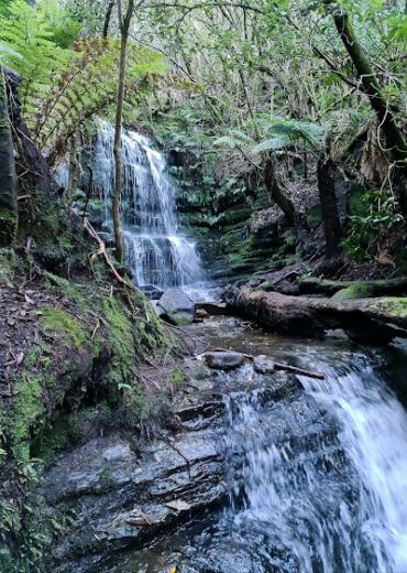 Cascades Track South Hobart