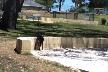 Casserley Avenue Reserve Girrawheen