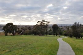 Casuarina Forest Reserve Endeavour Hills