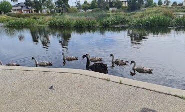 Caversham Waters Wetlands Pakenham