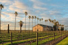 Chateau Dorrien Winery Tanunda