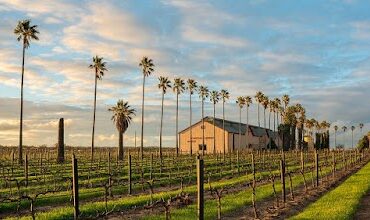 Chateau Dorrien Winery Tanunda