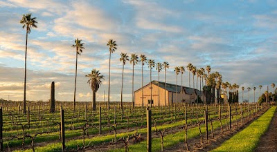 Chateau Dorrien Winery Tanunda