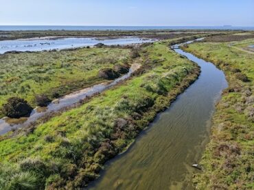 Cheetham Wetlands Altona Meadows