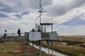 Cheetham Wetlands Observation Tower Point Cook