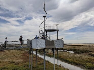 Cheetham Wetlands Observation Tower Point Cook