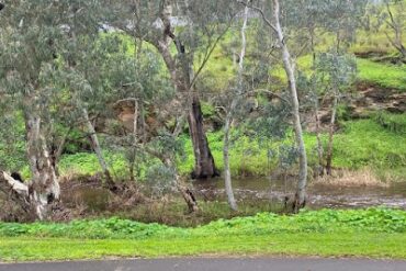 Chinnery Park Port Augusta