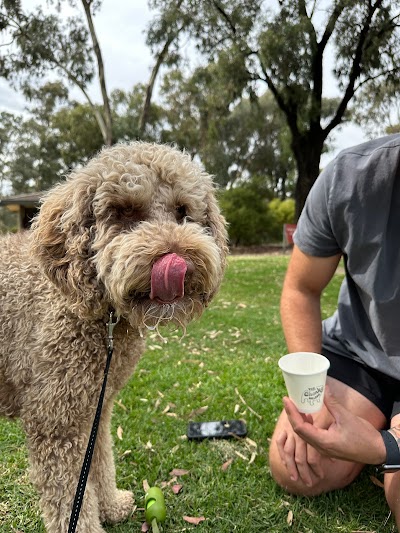 Chonky Bulldog Coffee Strathdale