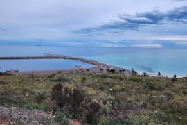 Civic Park Whyalla Norrie