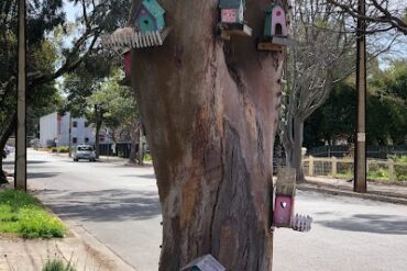 Clifford Street Fairy Tree Fulham Gardens