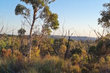 Cobbler Creek East Reserve Golden Grove