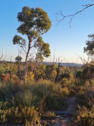 Cobbler Creek East Reserve Golden Grove