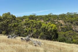 Cobbler Creek Recreation Park Blakeview