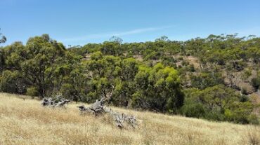 Cobbler Creek Recreation Park Blakeview