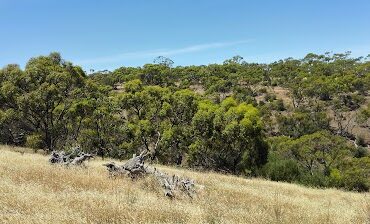 Cobbler Creek Recreation Park Blakeview