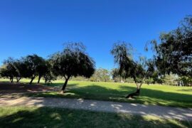 College Park Playground Nedlands