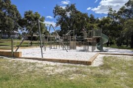 Collier Park Playground Swan