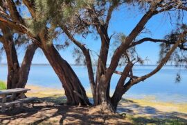 Coodanup Foreshore Reserve Playground Mandurah