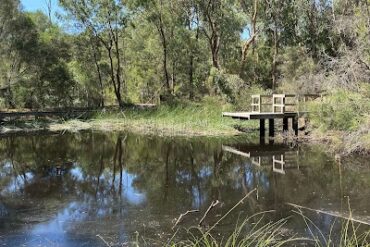 Currawong Bush Park Doncaster East