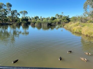 Curtis Wetlands Munno Para West