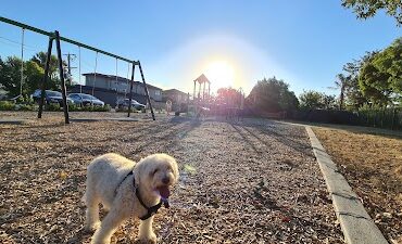 Dalton Road Neighbourhood Park Thomastown