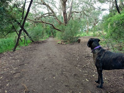 Damper Creek Walking Track Mount Waverley