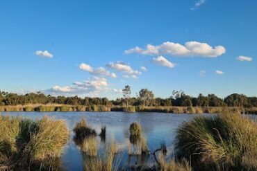 Dandenong Wetlands Dandenong North