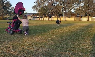 Davey Oval & Playground Salisbury East